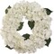 18" Soft White Hydrangea Wreath with Grapevine Ring by Floral Home®